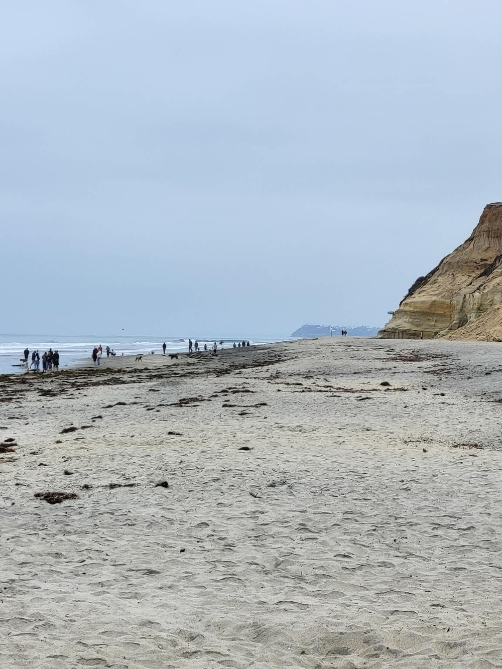 Neutral Beige Beach Sand Photo Print